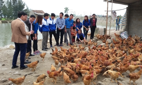 Ra mắt mô hình kinh tế thanh niên tại xã Phù Lưu, huyện Lộc Hà, Hà Tĩnh